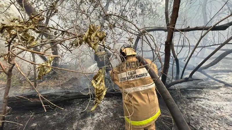 Площадь лесного пожара в Абайской области увеличилась до 30 тыс. га, фото - Новости Zakon.kz от 09.06.2023 15:38