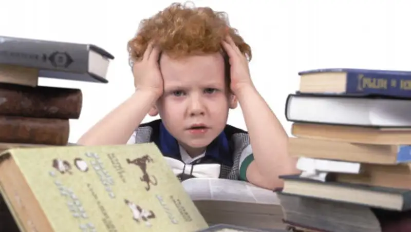 Правительство не видит проблем в процессе дистанционного обучения