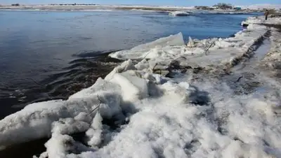 Zakon.kz, фото - Новости Zakon.kz от 07.04.2017 18:43