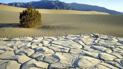 firetrip.me, фото - Новости Zakon.kz от 17.08.2020 20:24