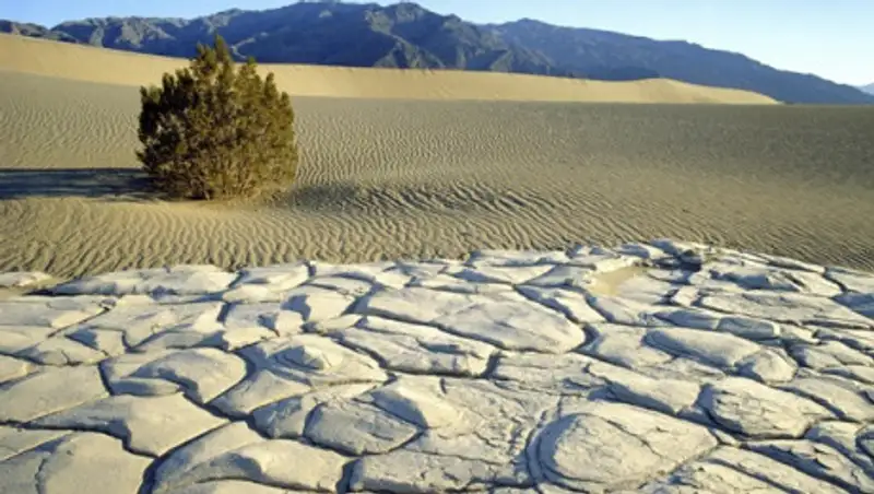 В США зафиксирована самая высокая температура на Земле