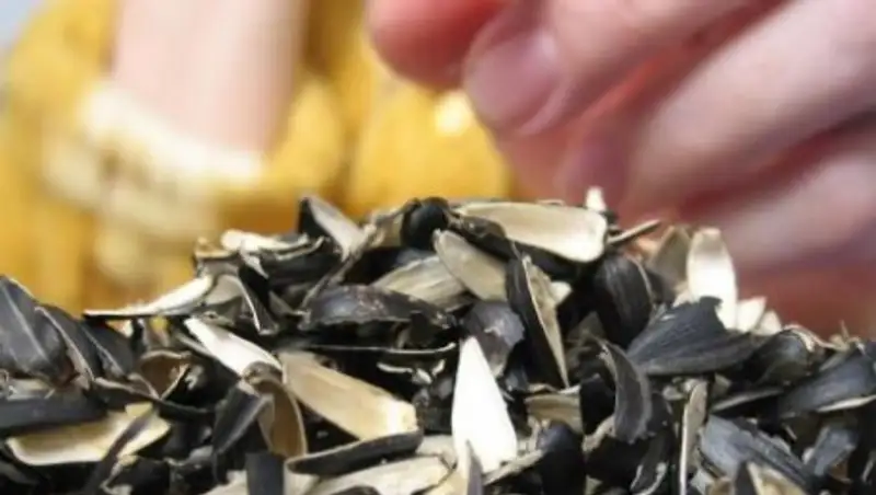 В Астане 28 родителей наказаны за нарушения своих детей