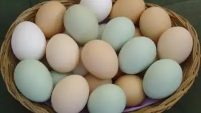 Zakon.kz, фото - Новости Zakon.kz от 14.06.2016 22:49