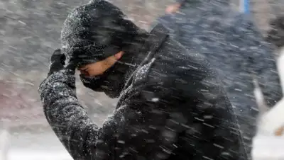 big-rostov.ru, фото - Новости Zakon.kz от 27.01.2020 11:42