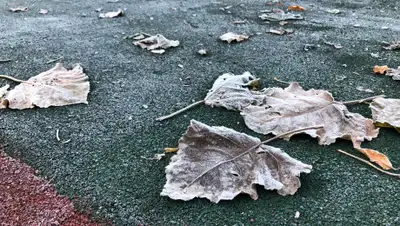 Zakon.kz, фото - Новости Zakon.kz от 13.11.2019 09:13