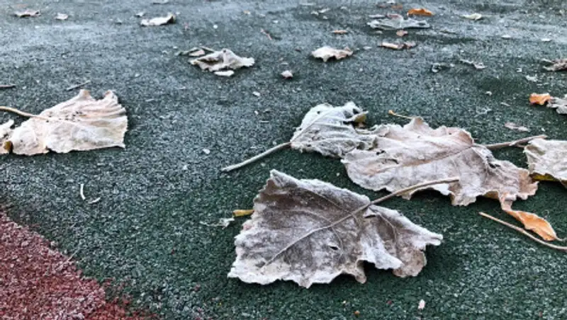 На севере и востоке Казахстана ожидается снег