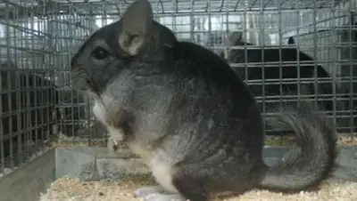 Zakon.kz, фото - Новости Zakon.kz от 20.09.2014 21:25