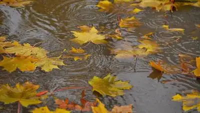 "Казгидромет", фото - Новости Zakon.kz от 01.10.2020 10:42