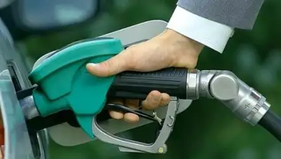 Zakon.kz, фото - Новости Zakon.kz от 02.02.2017 17:13