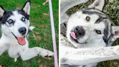 © darina_gusarova / nstagram © _ludochka_ya / instagram, фото - Новости Zakon.kz от 26.09.2018 15:25