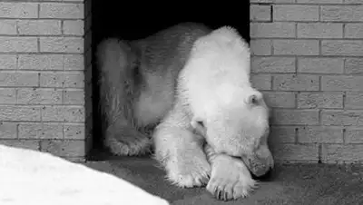 Zakon.kz, фото - Новости Zakon.kz от 16.08.2014 00:15