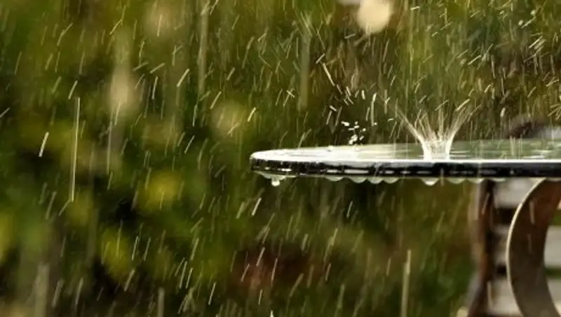 Дождь и туман возможны в среду в Казахстане