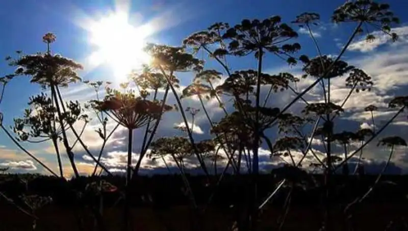 Ослабление жары ожидается в Казахстане