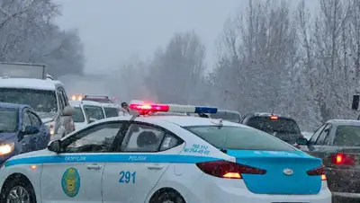 полицейская машина , фото - Новости Zakon.kz от 21.02.2022 09:39
