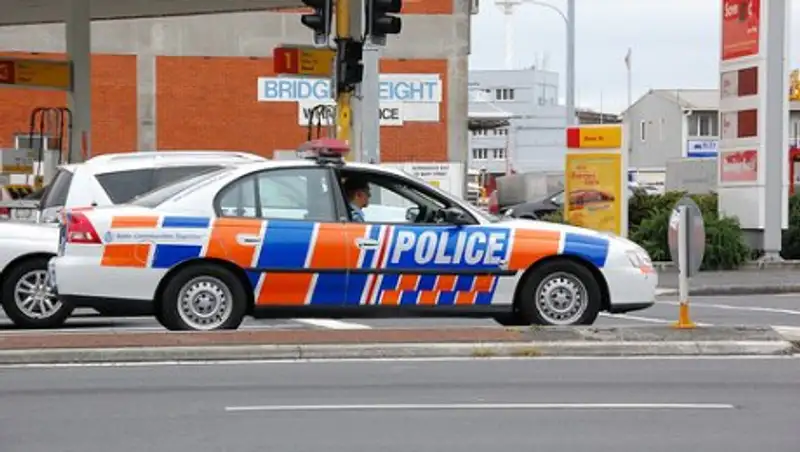 В Новой Зеландии обнаружили кокаин в скульптуре лошади со стразами