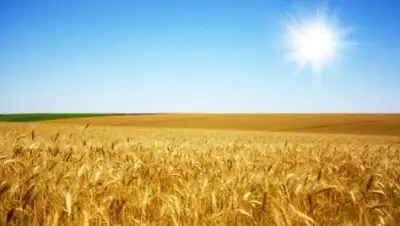 Zakon.kz, фото - Новости Zakon.kz от 25.10.2016 00:31