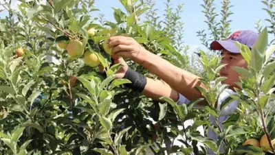 Zakon.kz, фото - Новости Zakon.kz от 27.09.2016 17:13