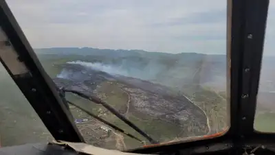 сухостой, горит , фото - Новости Zakon.kz от 11.05.2022 11:09