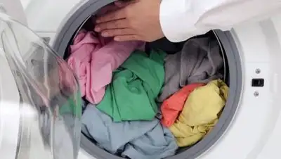 pixabay.com, фото - Новости Zakon.kz от 16.06.2021 20:06