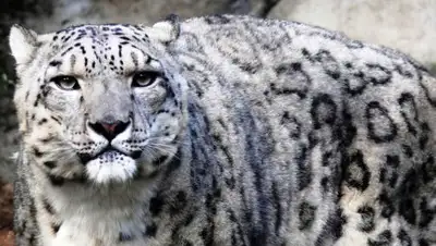 Zakon.kz, фото - Новости Zakon.kz от 16.02.2017 17:25