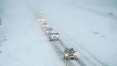 zakon.kz., фото - Новости Zakon.kz от 13.01.2021 08:22