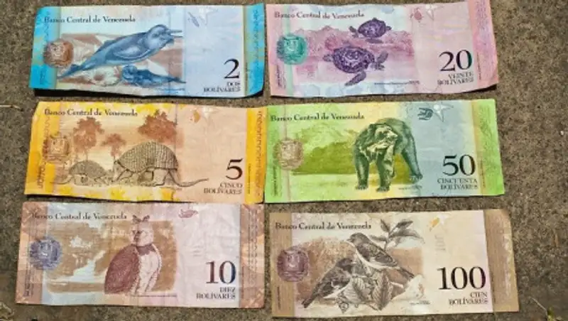 Инфляция в Венесуэле по итогам 2018 года превысила сто тысяч процентов