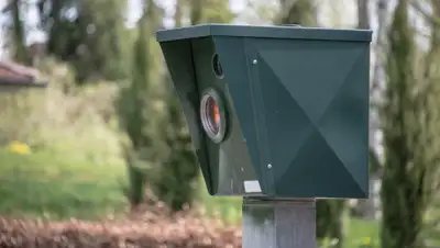 pixabay.com, фото - Новости Zakon.kz от 14.03.2019 19:27