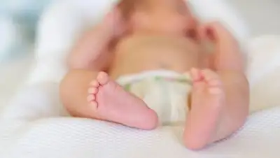 Zakon.kz, фото - Новости Zakon.kz от 20.12.2017 17:08