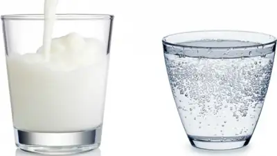 girlscene.nl, фото - Новости Zakon.kz от 13.05.2019 23:10