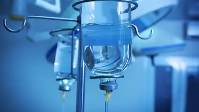 agavita.lt, фото - Новости Zakon.kz от 31.05.2018 15:39