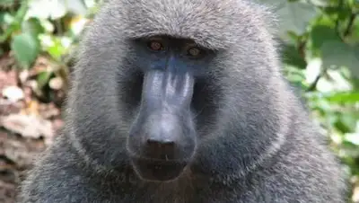 Zakon.kz, фото - Новости Zakon.kz от 18.07.2017 16:28