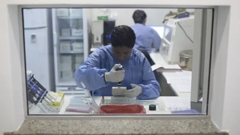 ВОЗ объявила вирус Зика угрозой, у которой будет международный масштаб