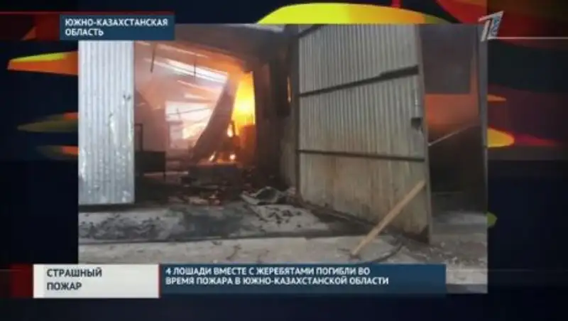 Четверо лошадей вместе с жеребятами сгорели заживо во время пожара