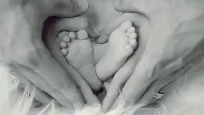 pixabay.com, фото - Новости Zakon.kz от 08.09.2021 15:13