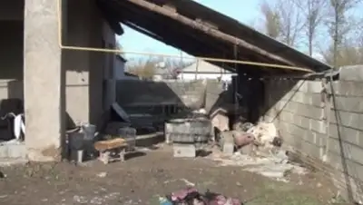 Zakon.kz, фото - Новости Zakon.kz от 17.11.2015 15:21