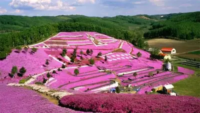 Zakon.kz, фото - Новости Zakon.kz от 26.07.2014 23:00