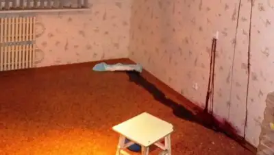 Zakon.kz, фото - Новости Zakon.kz от 12.03.2017 18:16