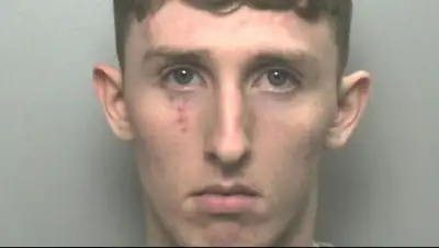 Daily Star, фото - Новости Zakon.kz от 18.02.2020 11:12