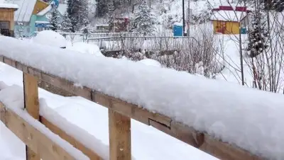 Zakon.kz, фото - Новости Zakon.kz от 07.06.2017 19:36