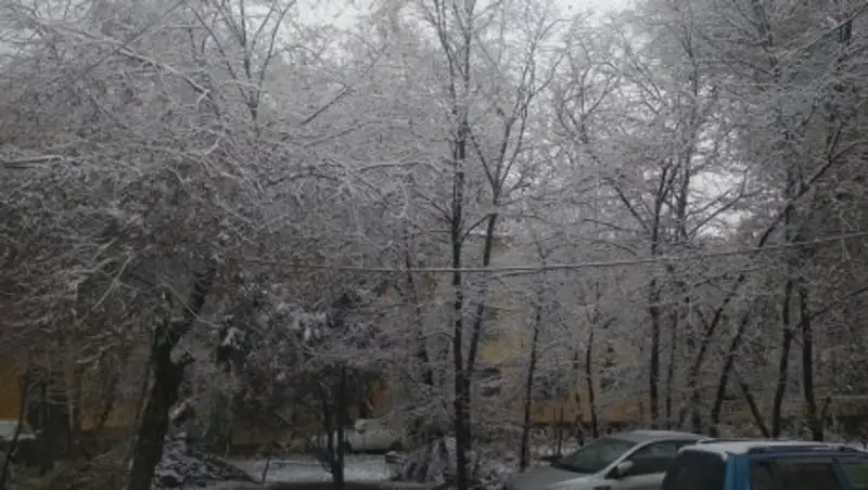 "Как будто скоро Новый год". Алматинцы радуются выпавшему снегу