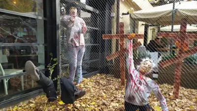 zakon.kz, фото - Новости Zakon.kz от 31.10.2019 15:54