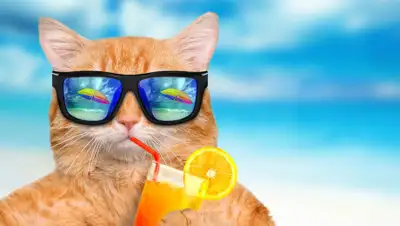 NikLife, фото - Новости Zakon.kz от 24.05.2019 13:25