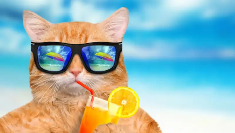 На юге Казахстана прогнозируют жаркие выходные