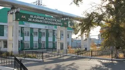 Zakon.kz, фото - Новости Zakon.kz от 12.10.2015 23:15