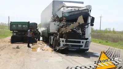 Zakon.kz, фото - Новости Zakon.kz от 26.04.2017 20:48