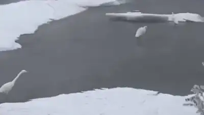 Скриншот, фото - Новости Zakon.kz от 30.12.2020 16:54