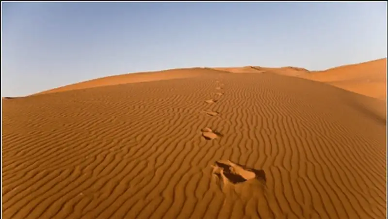 В Сахаре нашли тела 90 мигрантов, фото - Новости Zakon.kz от 01.11.2013 03:12