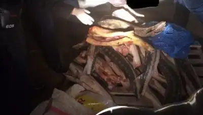 Zakon.kz, фото - Новости Zakon.kz от 30.10.2015 20:33