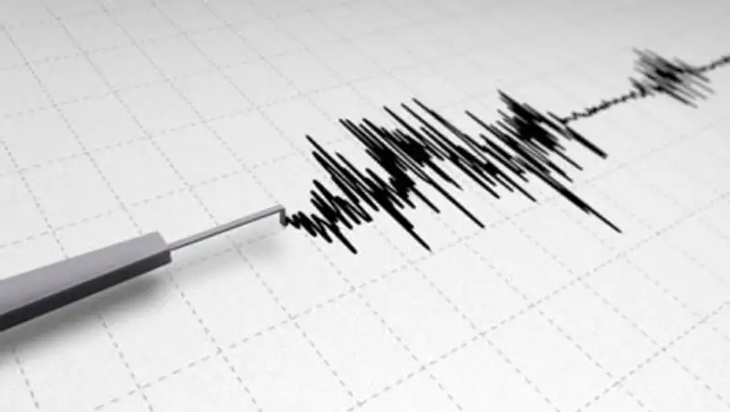 В 347 км на северо-восток от Алматы зафиксировали землетрясение