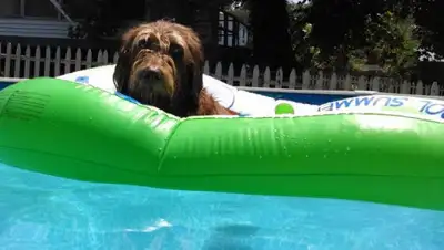 pxhere.com, фото - Новости Zakon.kz от 13.08.2019 09:08